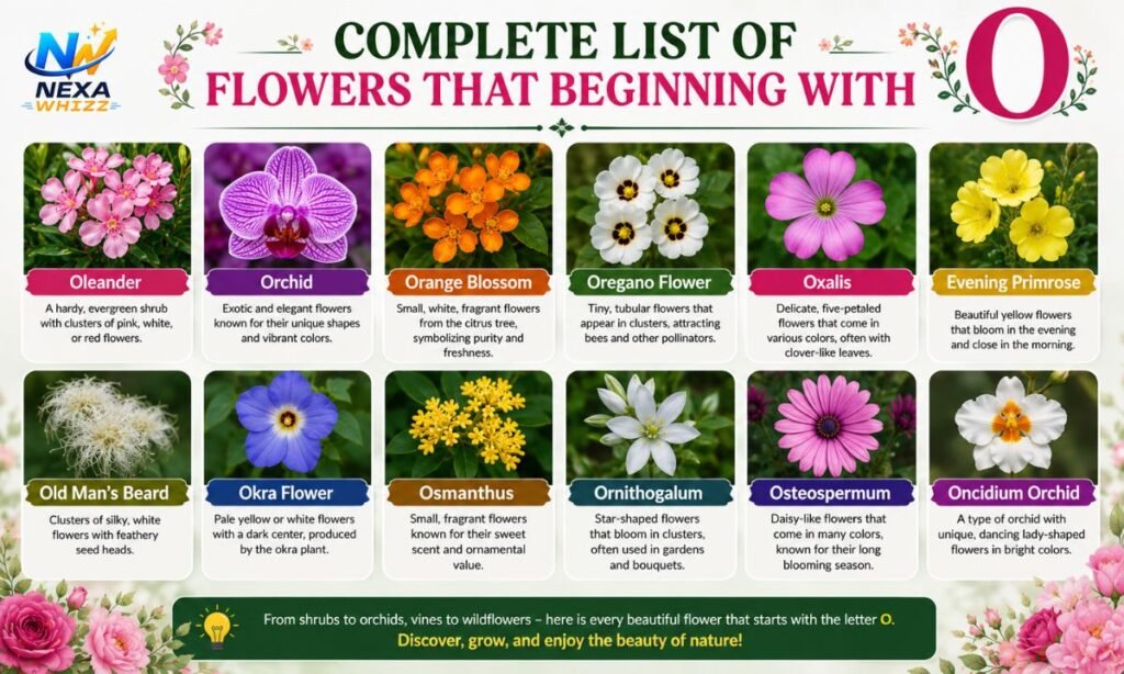Complete List Of Flowers That Beginning With O